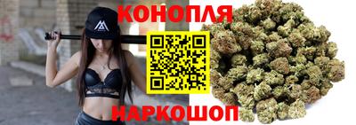 гидра Лесосибирск