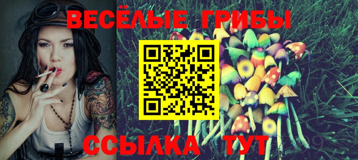 Псилоцибиновые грибы GOLDEN TEACHER  Вход с VPN  Гусиноозёрск 
