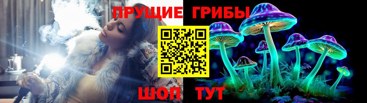 Псилоцибиновые грибы Magic Shrooms Гусиноозёрск